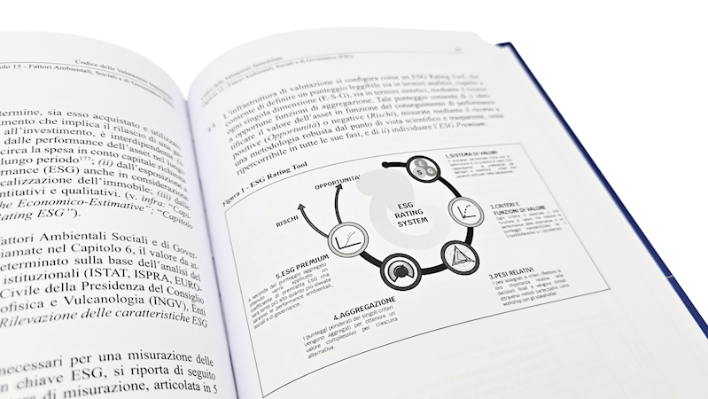 Capitolo 15: Figura 1 - ESG Rating Tool